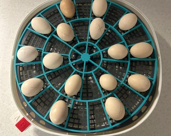 Serama chicken egg tray for Nurture Right 360 incubator.