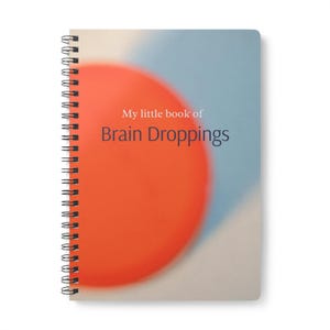 Puede incluir: Cuaderno con espiral con una cubierta que presenta un diseño abstracto naranja y azul. El texto "My little book of Brain Droppings" está impreso en blanco y naranja. Tiene una encuadernación en espiral plateada.