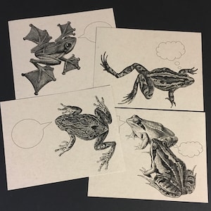 GRENOUILLES ET CRAPAUDS . Lot de 12 cartes postales Amphibiens, pieds palmés, pieds palmés, Cartes kraft 4,25 x 5,5 x 5,5 cm, Papeterie, Cartes d'insectes mignons, Invitations