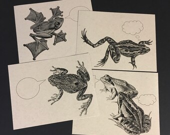 FROGS & TOADS . Set of 12 Postcards Amphibians Ribbit Webbed Feet Kraft Cards 4.25 x 5.5 Post Cards Stationery Cute Bug Cards Invitations