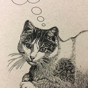 May include: A black and white line drawing of a cat with a thought bubble above its head. The cat is looking to the left of the image and has a thoughtful expression on its face.