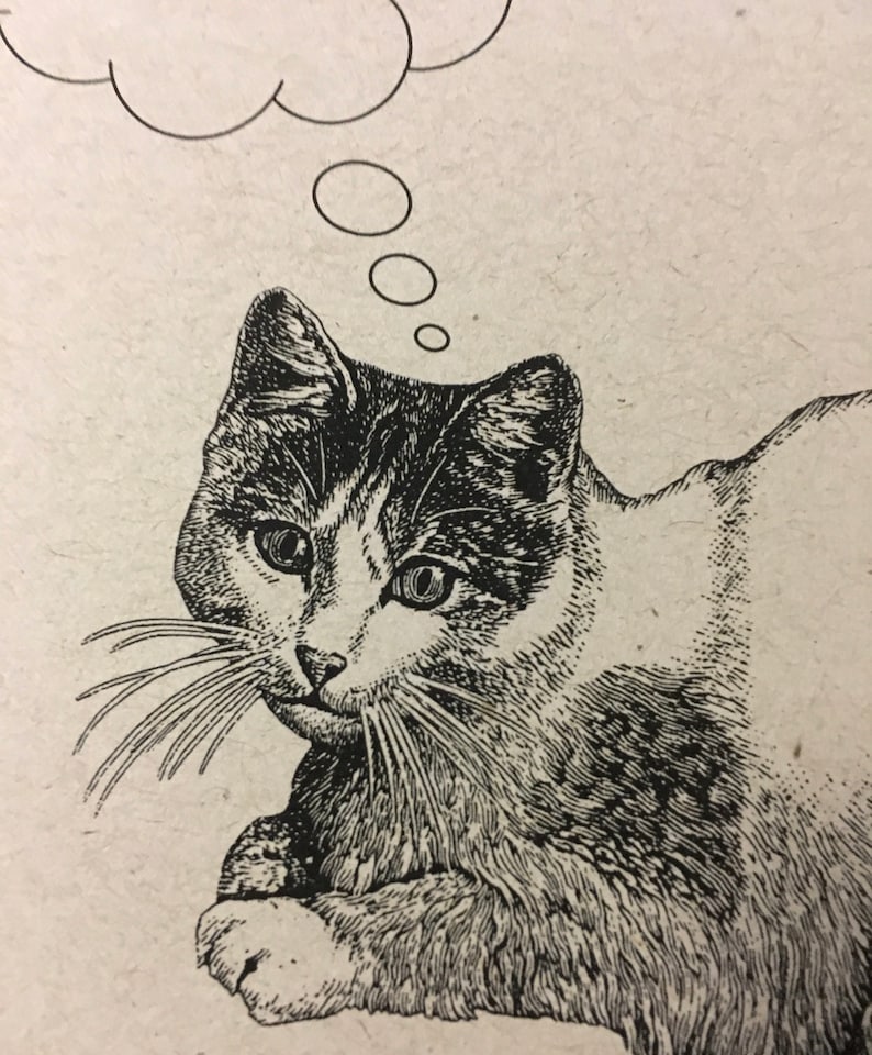 May include: A black and white line drawing of a cat with a thought bubble above its head. The cat is looking to the left of the image and has a thoughtful expression on its face.