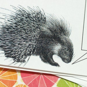 PLATITUDES DU PORC-ÉPIN . Ensemble de mini-cartes pour bas de Noël, créatures sous-titrées, cartes-cadeaux mignons rongeurs, notes pliées, adorable animal amusant