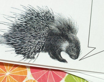 PORCUPINE PLATITUDES . Mini Notecards Set Stocking Stuffer Captioned Critters Cute Rodent Gift Cards Folded Notes Adorable Animal Fun