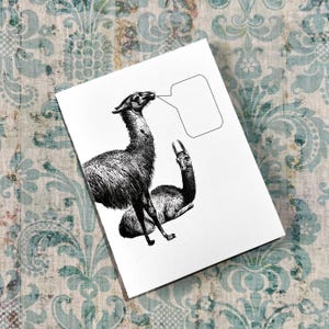 Lama loquace . A2 Carte de voeux pliée Notecard Papeterie Animaux de la ferme Amusant décalé Mignon Vierge Message toutes occasions Livraison gratuite