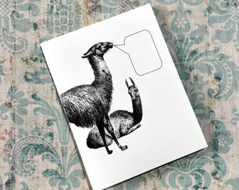 LOQUACIOUS LLAMA . A2 Greeting Card Folded Notecard Stationery Farm Animals Quirky Fun Cute Blank All Occasion Message Free Shipping