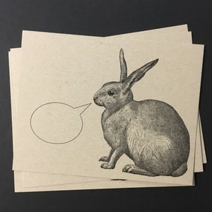 LAPINS . Lot de 12 cartes postales kraft 4,25 x 5,5 cartes postales, lapins câlins à fourrure, animaux mignons, animaux de compagnie, ensemble de papeterie