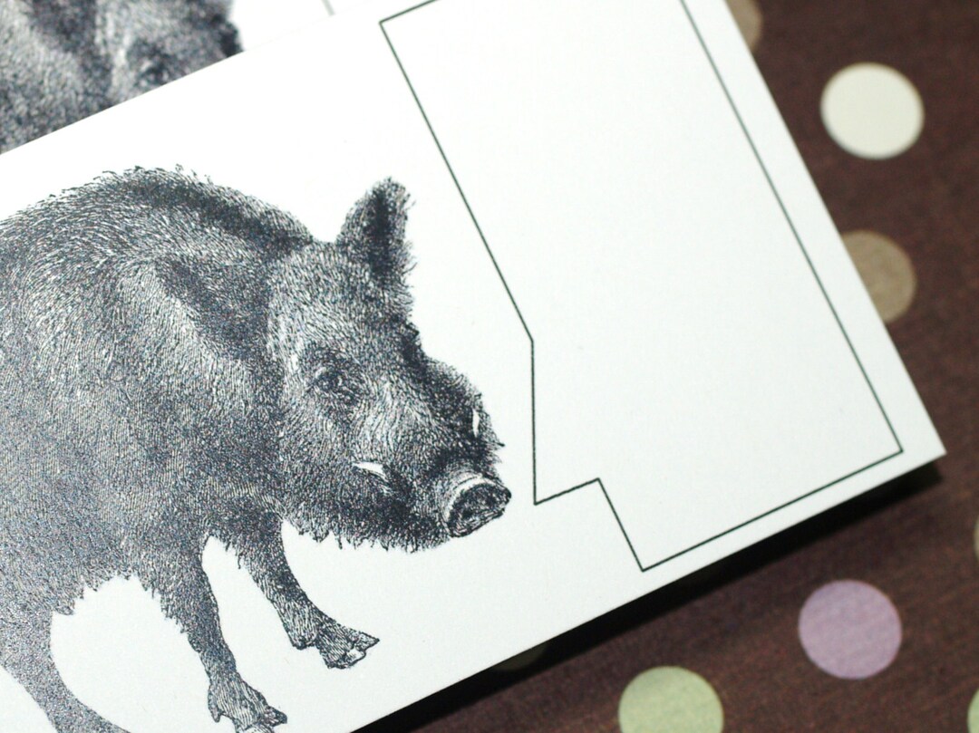 BORING BOAR . Mini Notecards Set of 5 Handmade Stationery Wild Pig ...