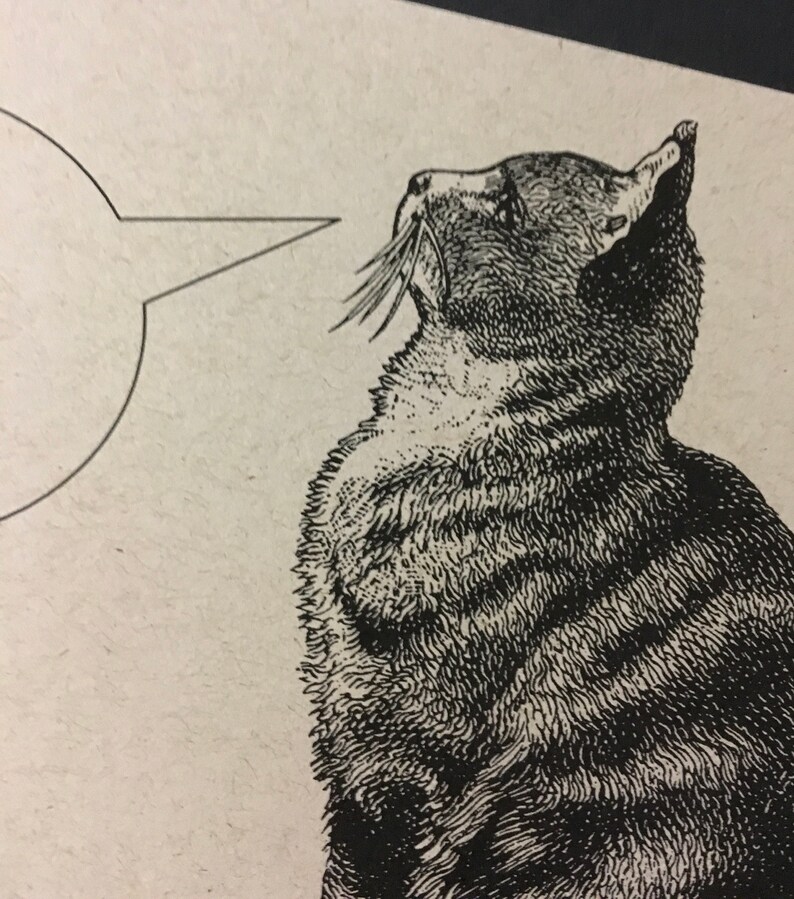May include: Black and white line drawing of a cat looking up with a speech bubble above its head.