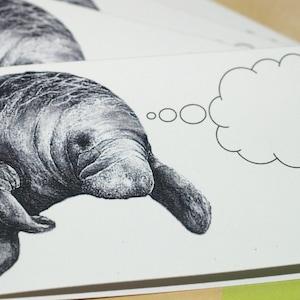 MANATEE CONSCIENTE . Ensemble de 5 Mini Notecards Florida Sea Cow Sous-titrés Critters Cartes-cadeaux excentriques Notes pliées Gentle Giant Thank You Notes