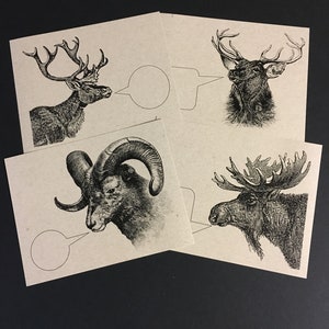 CORS et bois . Lot de 12 cartes postales 4,25 x 5,5 cartes postales Papeterie Animaux sauvages Mouflon bélier Orignal Elk Renne