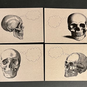 CRÂNES spéculatifs. Lot de 12 cartes postales kraft 4,25 x 5,5 cartes squelettes originales et effrayantes Salutations d'Halloween Invitations postales amusantes