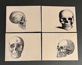 Speculative SKULLS . Set of 12 Kraft Postcards 4.25 x 5.5 Creepy Cool Quirky Skeleton Cards Halloween Greetings Fun Mail Invitations