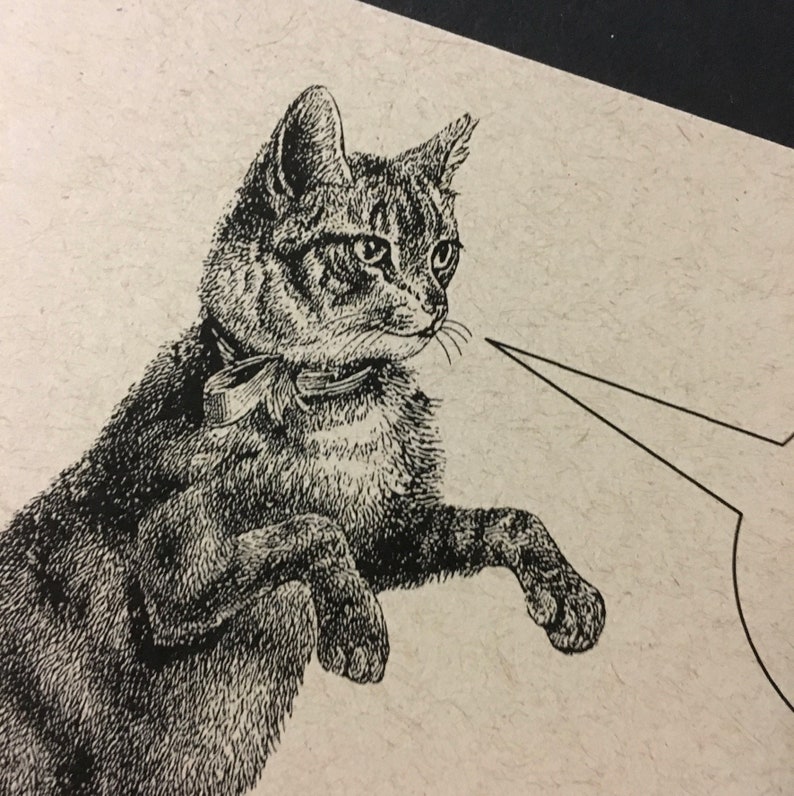 May include: Black and white illustration of a cat wearing a collar and looking to the right. The cat is sitting with its front paws extended. A speech bubble is to the right of the cat.