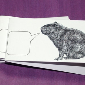 CAPYBARA COURANT. Ensemble de mini-cartes de correspondance faits main, créatures sous-titrées, cartes-cadeaux étranges et grands rongeurs, notes pliées, amoureux des animaux