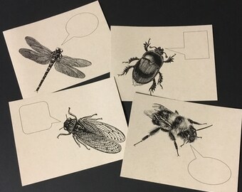 FLYING INSECTS . Set of 12 Postcards Dragonfly Cicada Bee Beetle Kraft Cards 4.25 x 5.5 Post Cards Stationery Cute Bug Cards Invitations