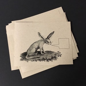 ANIMAUX DU DÉSERT . Lot de 12 cartes postales Cartes kraft 4,25 x 5,5 Scorpion Chameau Bouquetin Fennec Renard Papeterie originale et amusante Cartes animaux