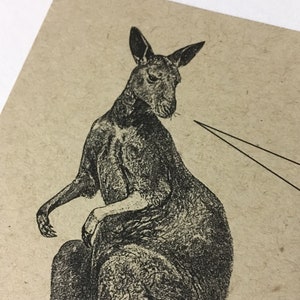 ANIMAUX D'AUSSIE . Lot de 12 cartes postales Cartes kraft 4,25 x 5,5 cartes postales kangourou koala émeu wombat papeterie amusante cartes animaux invitations