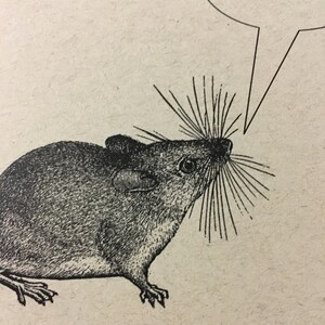 Vraiment cool RONGEURS. Lot de 12 cartes postales Cartes kraft 4,25 x 5,5 po. Papeterie Cartes animaux originaux Souris Furet Capybara Gerboise