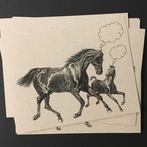 TROUPEAU DE CHEVAUX . Lot de 12 cartes postales kraft 4,25 x 5,5 équestres appaloosa lipizzan étalon jument pouliche colt cheval de course papeterie