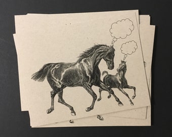 HERD of HORSES . Set of 12 Postcards Kraft Cards 4.25 x 5.5 Equestrian Appaloosa Lipizzan Stallion Mare Filly Colt Racehorse Stationery