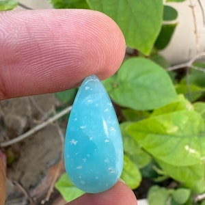 May include: A teardrop-shaped, light blue gemstone with white speckles is held between two fingers. The polished stone has a smooth surface and is set against a backdrop of green leaves.