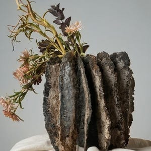 Può includere: Un vaso in ceramica scuro e testurizzato con creste verticali frastagliate simili a corteccia e una superficie ruvida. Il vaso contiene un mazzo di fiori secchi rosa pallido con steli sottili e tortuosi e foglie scure e appuntite.