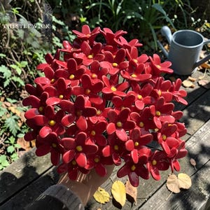 May include: A bunch of glossy red ceramic flowers with yellow centres. The flowers are clustered together, held in a hand, and set against a wooden surface. A metal watering can is in the background. The word "THISTLEWICK" is in the upper left corner.