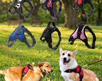 Durable Dog Harness Vest for Small, Medium, and Large Dogs – Perfect for All Breeds from Chihuahuas to Golden Retrievers