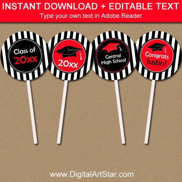 2024 Graduation Cupcake Toppers - Graduation Party Decorations - High School Graduation Party Ideas - Printable Graduation Cupcake Picks G4