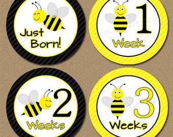 Printable Baby Month Stickers Iron On Transfers - Bumble Bee - Gender Neutral Milestone Stickers Baby Shower Gift - INSTANT DOWNLOAD