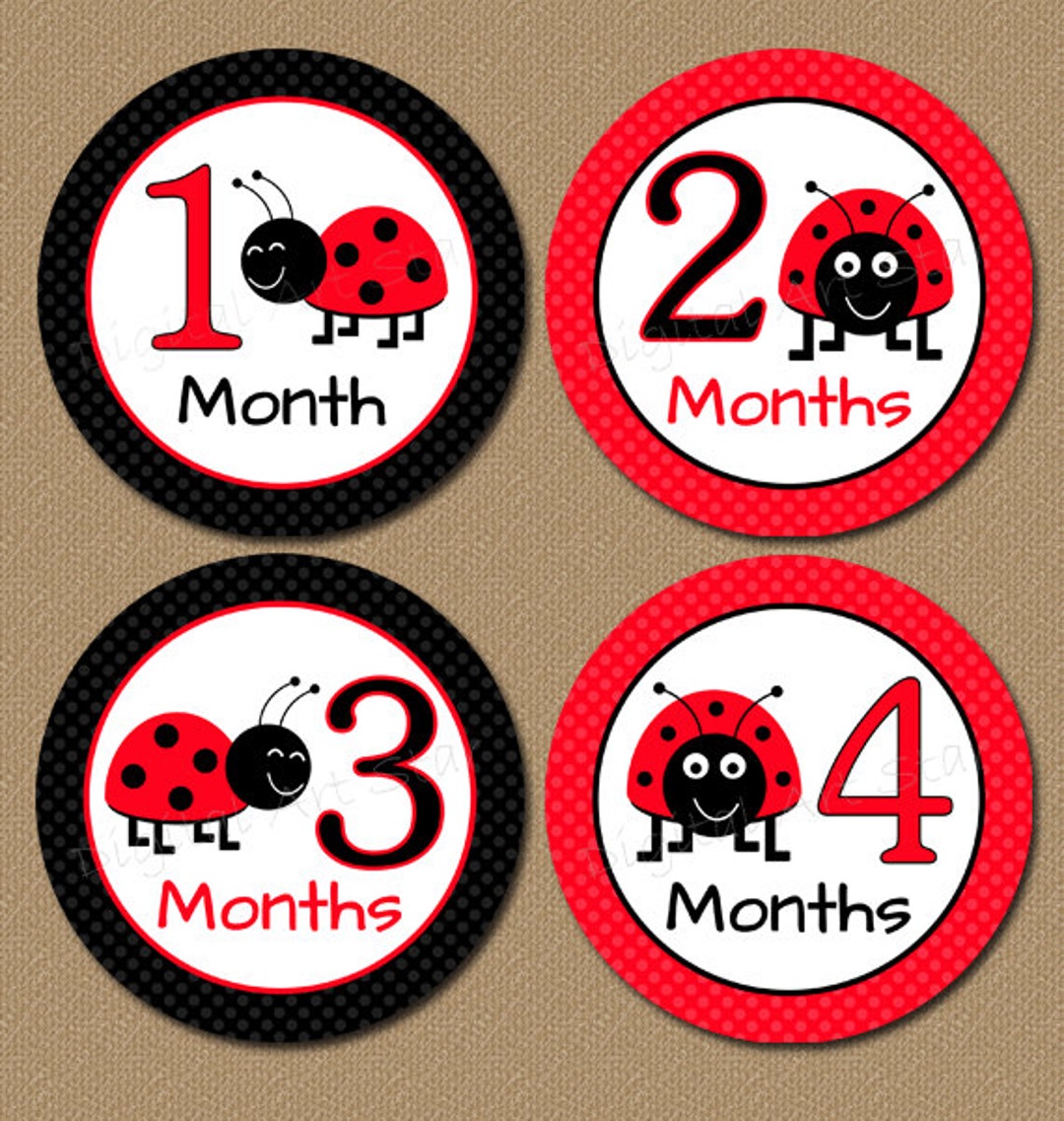 Baby Monthly Stickers Iron on Transfers Ladybugs Printable Milestone