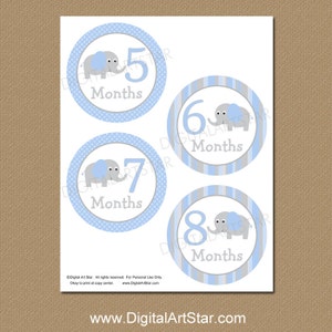 Elephant Monthly Milestone Stickers Printable Onepiece Stickers Iron on ...