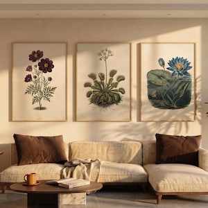 May include: Three framed botanical wall art prints displayed in a row. The left print features dark purple flowers, the center print shows a green Venus flytrap, and the right print depicts a blue water lily with green lily pads on a cream background.
