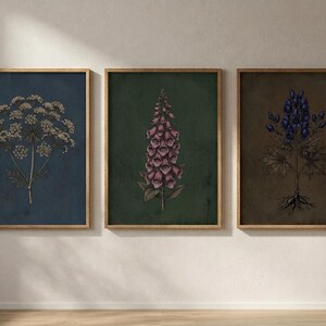 May include: A set of three framed botanical prints. The left print features a white flower on a dark blue background. The center print displays a pink foxglove on a dark green background. The right print shows a blue flower on a brown background.