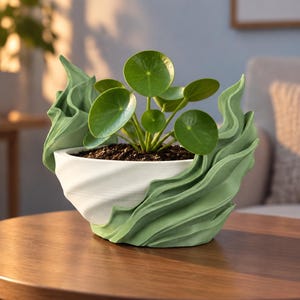 Peut inclure: Une plante Pilea peperomioides aux feuilles rondes vertes dans un pot blanc en forme de bol. Le pot présente une coque extérieure décorative ondulée vert sauge qui enveloppe les côtés, créant une texture superposée et fluide.