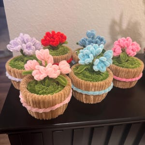 Può includere: Una collezione di sei composizioni floreali fatte a mano. Ogni composizione presenta un piccolo vaso marrone con una base verde strutturata e fiori colorati in ciniglia nei toni del rosa, rosso, blu e viola. I vasi sono rifiniti con accenti color pastello.