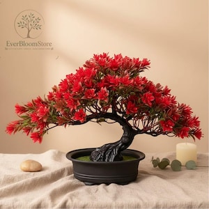 Kunstrose Bonsai mit Topf | Roter Halbmond Bonsai Pflanze | Immergrüne Kunstpflanze | Schreibtisch Tisch Dekor | Dekoration für Haus und Büro