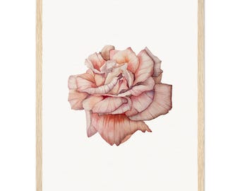 Framed Pink Rose Watercolor Print, Botanical Wall Art, Floral Fine Art Print, Cottagecore Decor, Rose Painting, Gift for Flower Lovers