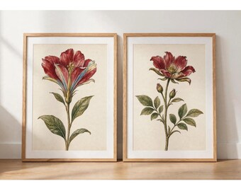 Vintage Botanical Prints Set Of 2: Red Flower Wall Art (Digital Download)