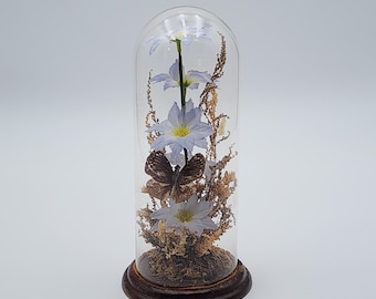 Vintage Butterfly Mounted on Silk Flowers & Dried Glass Dome Diorama Wood Base