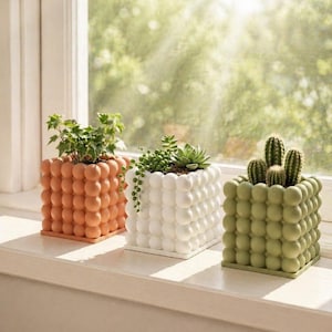 Pode incluir: Três vasos quadrados com textura de bolhas estão em um parapeito. Os vasos são preenchidos com vegetação. Um é laranja, um branco e um verde. As plantas incluem um cacto, suculentas e outras plantas folhosas.