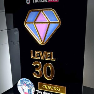 May include: A black acrylic award with a gold diamond-shaped emblem, blue and pink accents, and the TikTok Live logo. It features the text "LEVEL 30" and a small photo with the name "CHIPE095" and a quote.