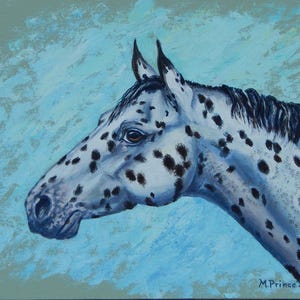 The Color Master,   Appaloosa horse, Leopard appaloosa, original painting, oil painting