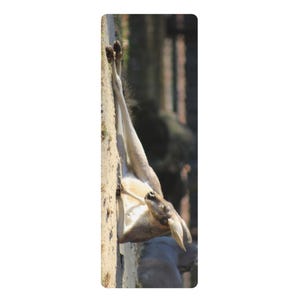 Puede incluir: Un canguro descansando contra una pared, con su cuerpo inclinado hacia abajo. El pelaje del canguro es de color marrón claro, y sus orejas están erguidas. El fondo muestra una vista borrosa de una valla y follaje.