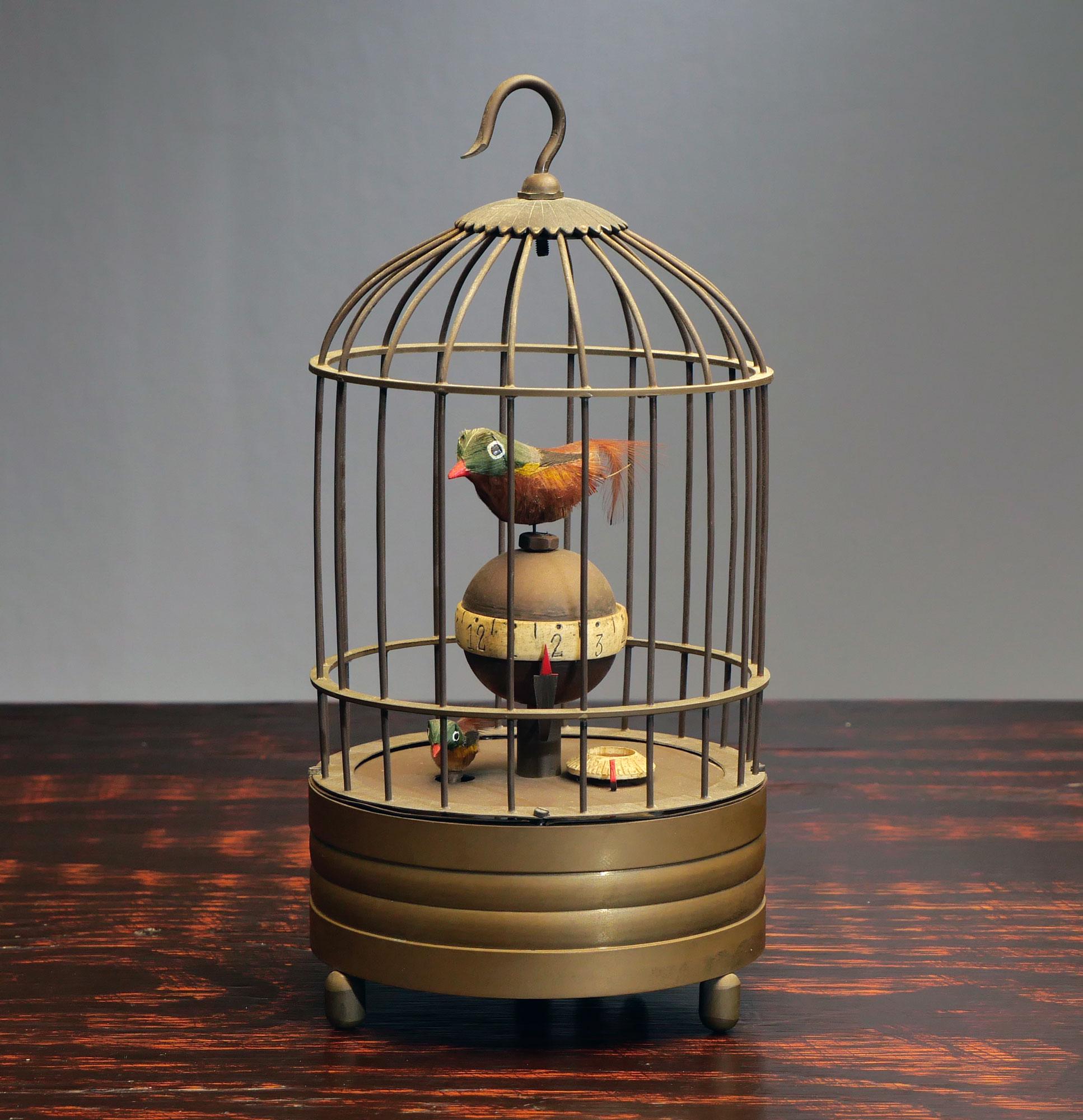 Hong Kong Bird Cages - Etsy