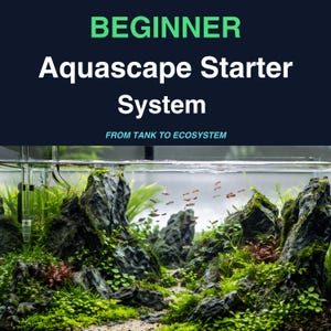 Può includere: Viene mostrato un sistema di avviamento per acquascaping, con una scena subacquea dettagliata di rocce, piante e piccoli pesci. Il testo recita "BEGINNER Aquascape Starter System" e "FROM TANK TO ECOSYSTEM".