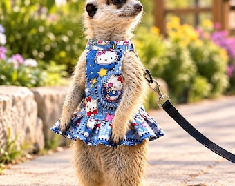 Small Pet Harness Leash, Squirrel Vest with Adjustable Leash, Meerkat Walking Harness, Groundhog Outfit, Escape Proof Small Animal Harness