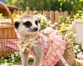 Grazioso vestitino da principessa con perle per suricati, furetti e marmotte – Adorabile completo per piccoli animali, gonna in tulle floreale, abbigliamento per animali in stile accademico