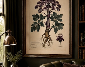 Korean Angelica Botanical Print | Vintage Danggui Herbal Wall Art (Digital Download)